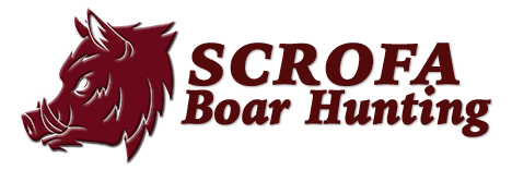 Scrofa Boar Hunting